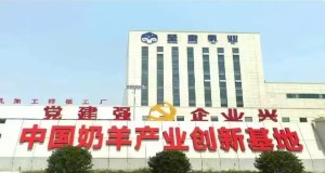 羊之歌羊奶粉的优势特点